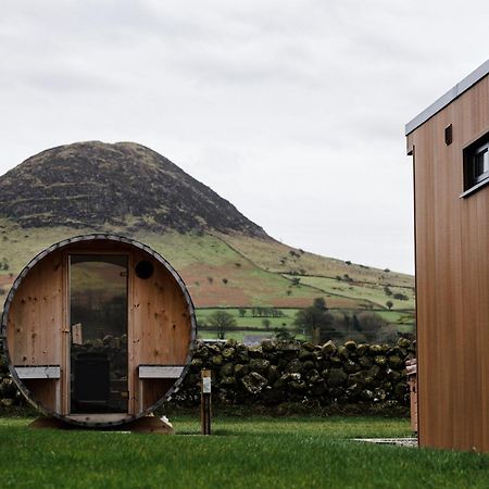 Slemish Hideaway - Funky Pheasant Villa Broughshane Eksteriør billede