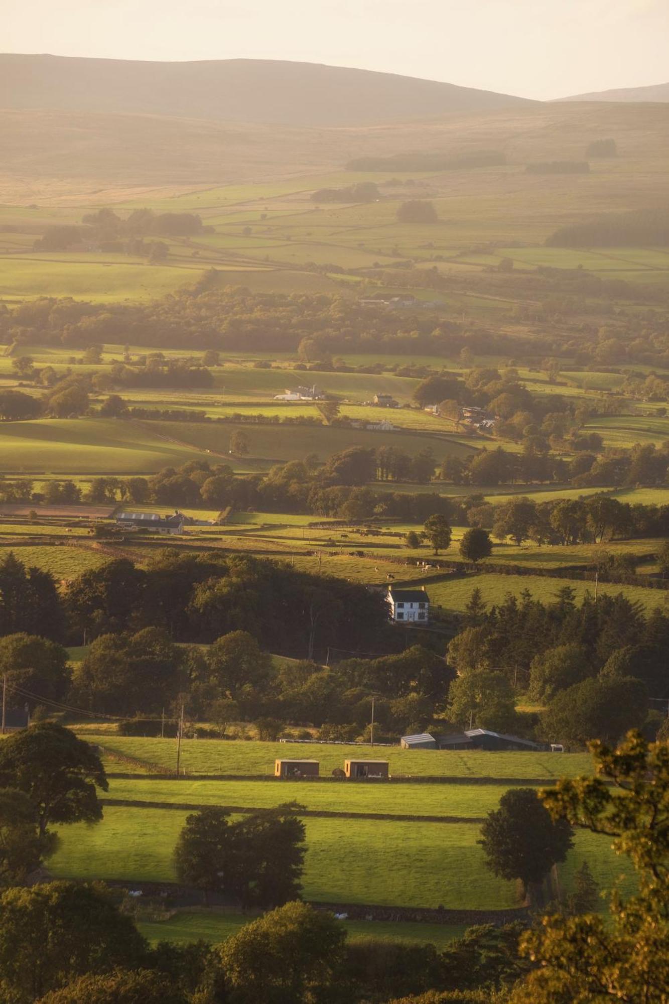 Slemish Hideaway - Funky Pheasant Villa Broughshane Eksteriør billede